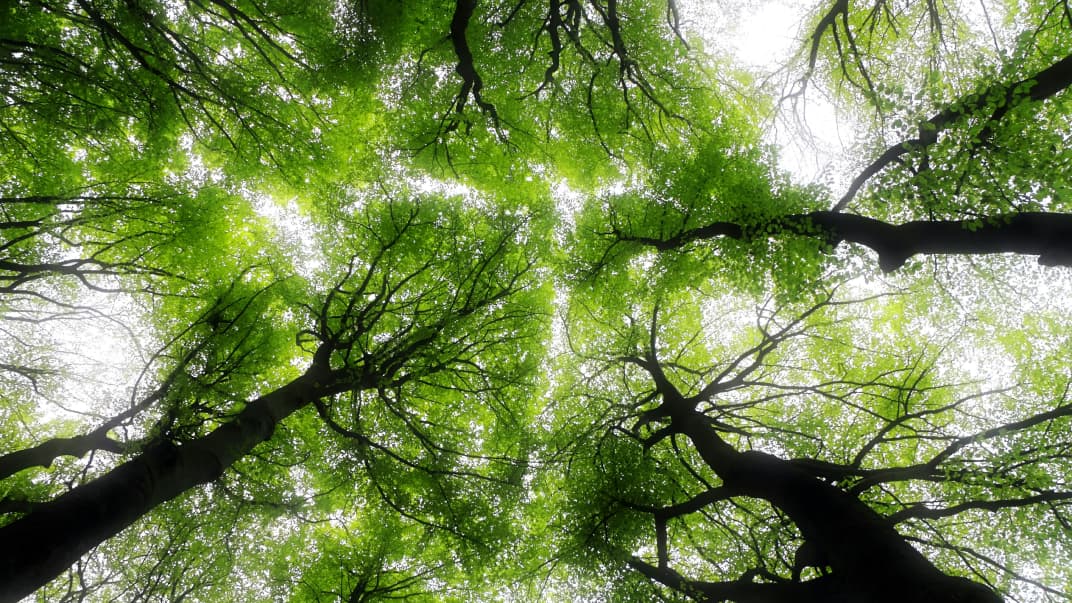 5 Emission Saving Tips for your Digital Product - 17B