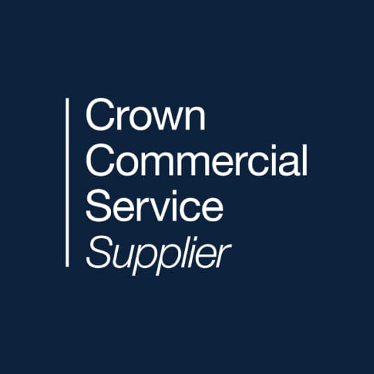 Supporting government delivery through CCS frameworks - CCS Image