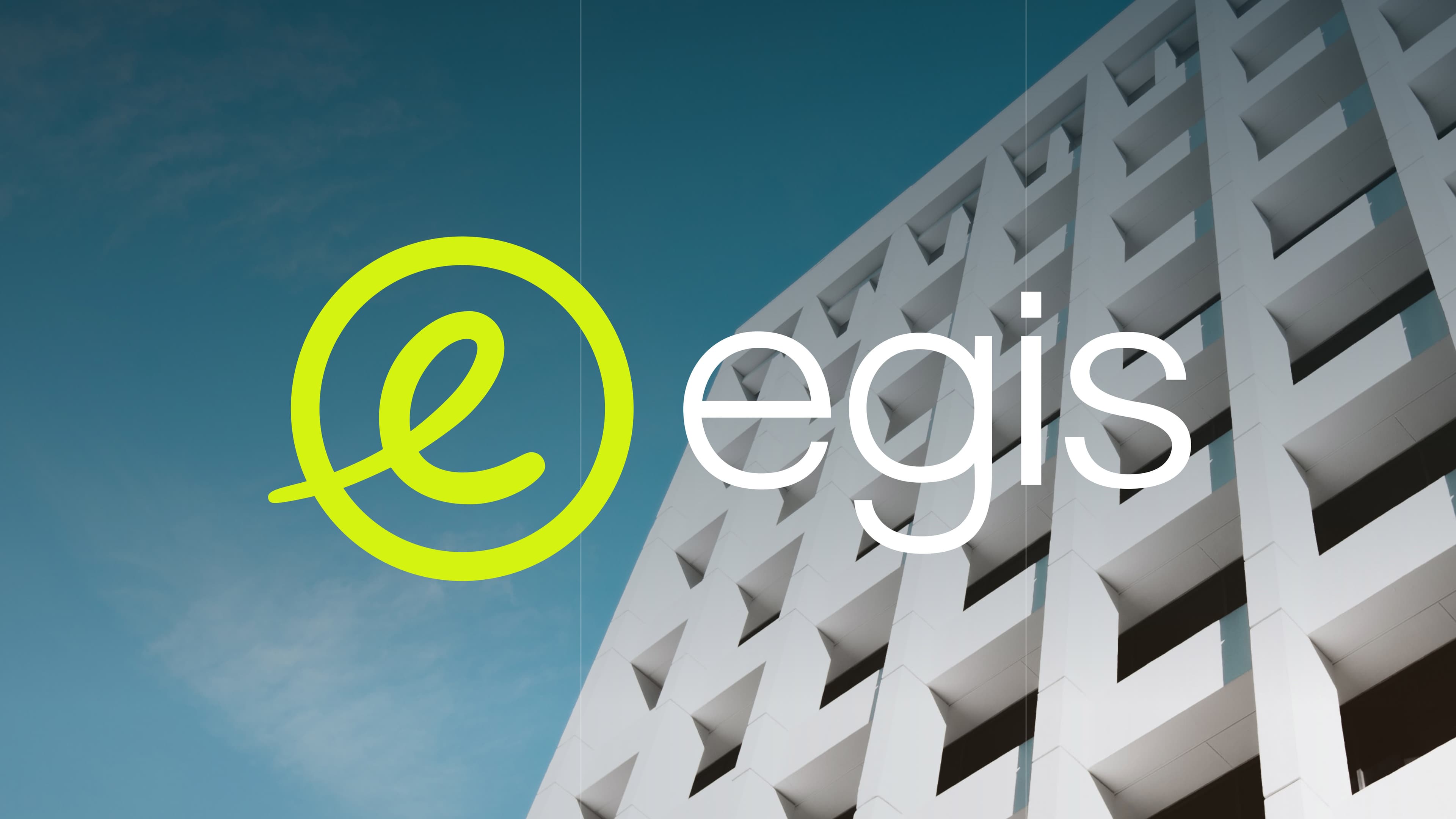 Consolidating a sprawling digital estate into one global platform - Egis Landscape Hero